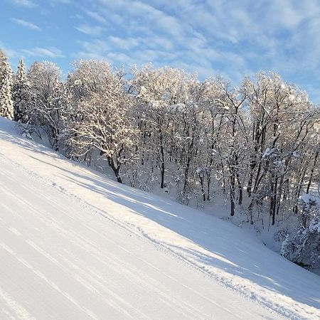 Resort Inn Murata Iiyama Экстерьер фото